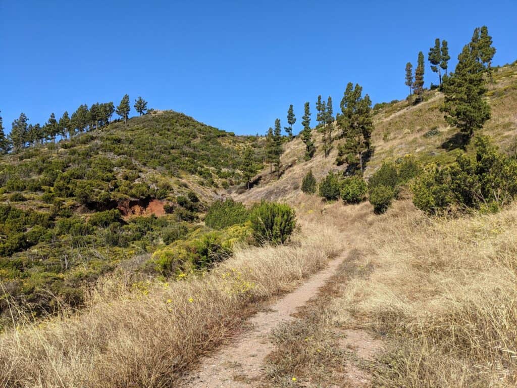 Hiking trail through dry grass with wooded hills behind