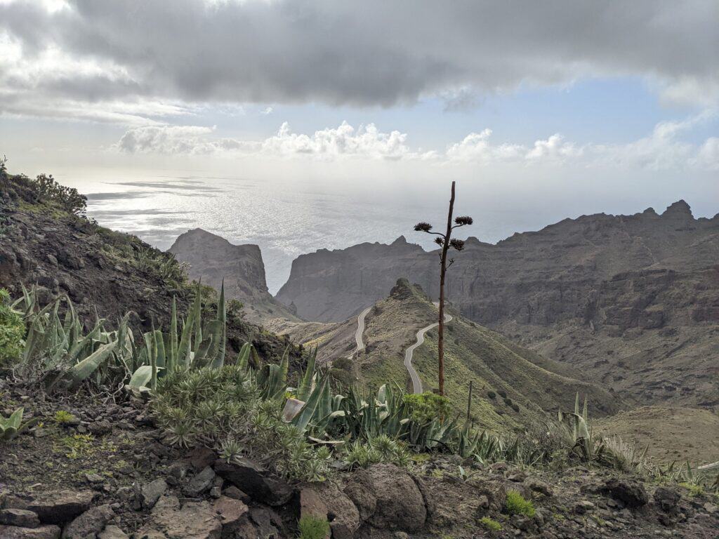 View across ravines to the Atlantic, agaves in the foreground