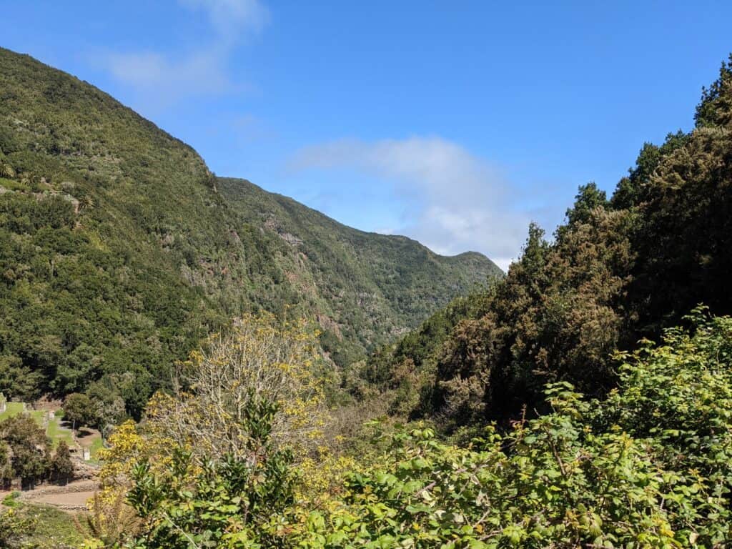 Densely wooded mountain slopes under a blue sky