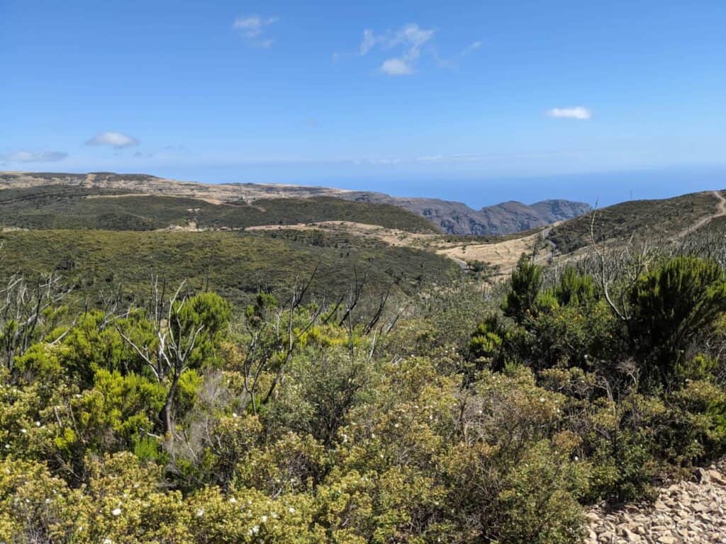 Holiday flat Valle Gran Rey "Maria y Mar" - One of the many vegetation zones on La Gomera